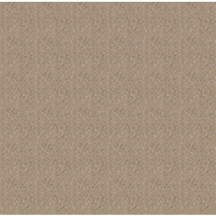 Shaw Floors Light Impressions — Worn Path · 5E584-00700 — flooring selection with LeviArs Design & Remodeling