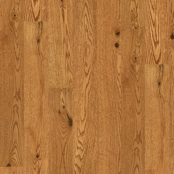 Shaw Floors Lineage Oak 5" — Honey · SW786-02080 — flooring selection with LeviArs Design & Remodeling
