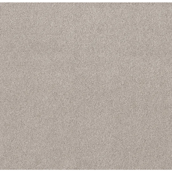 Shaw Floors Live on Comfort — Brushed Aluminu · 5E546-00148 — flooring selection with LeviArs Design & Remodeling