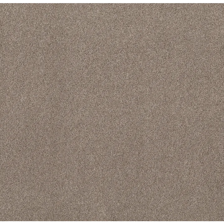 Shaw Floors Live on Comfort — Carriage House · 5E546-00742 — flooring selection with LeviArs Design & Remodeling