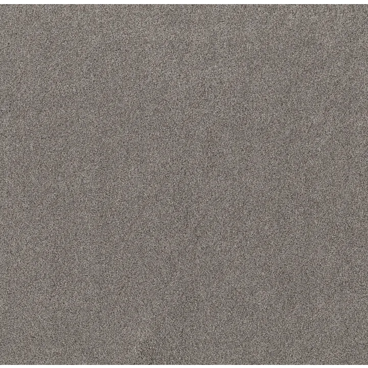 Shaw Floors Live on Comfort — Century Taupe · 5E546-00744 — flooring selection with LeviArs Design & Remodeling