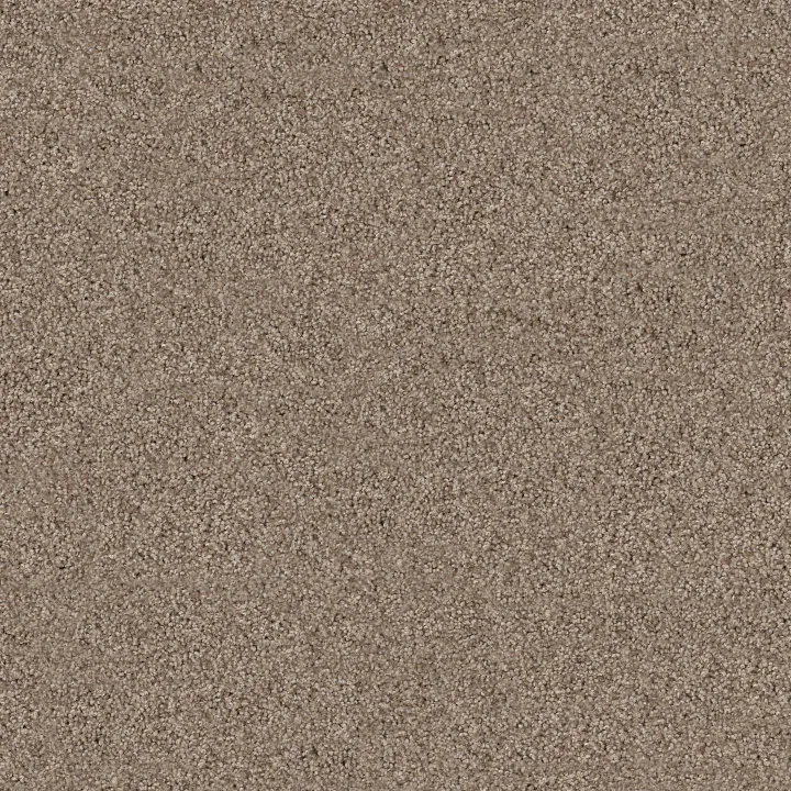 Shaw Floors Live on Comfort — Hillcrest Tan · 5E546-00769 — flooring selection with LeviArs Design & Remodeling