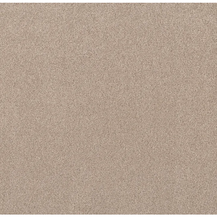 Shaw Floors Live on Comfort — Palm Desert · 5E546-00741 — flooring selection with LeviArs Design & Remodeling