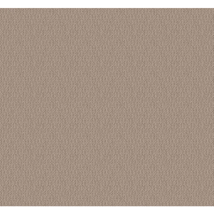 Shaw Floors Loop De Loop — Pebble Path · 5E452-00109 — flooring selection with LeviArs Design & Remodeling