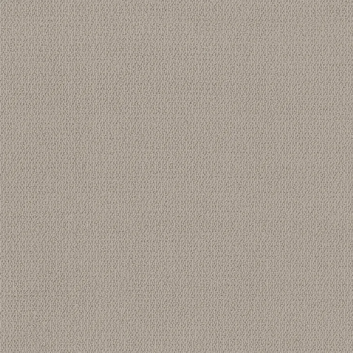 Shaw Floors Loop De Loop — Sandstone · 5E452-00108 — flooring selection with LeviArs Design & Remodeling