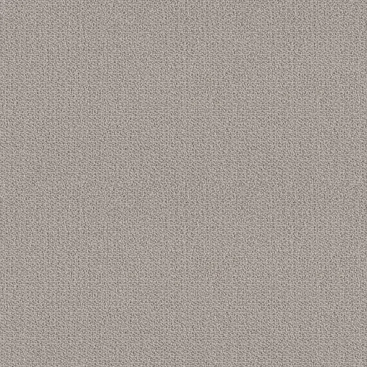 Shaw Floors Loop De Loop — Warm Greige · 5E452-00104 — flooring selection with LeviArs Design & Remodeling