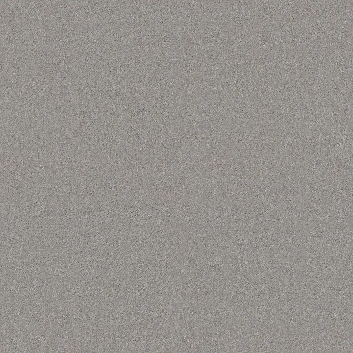 Shaw Floors Loyal Beauty I — Sheer Silver · EA162-00500 — flooring selection with LeviArs Design & Remodeling