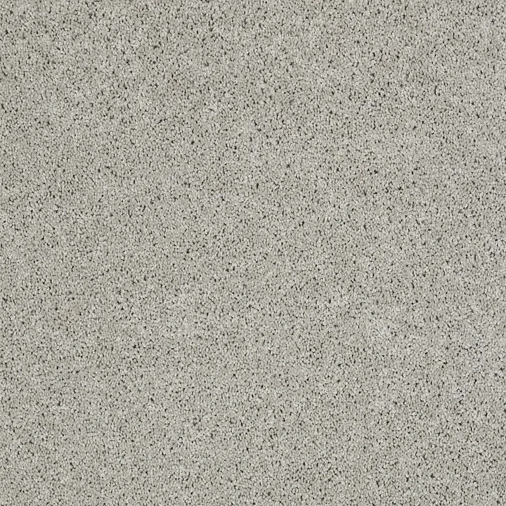 Shaw Floors Loyal Beauty II — Sheer Silver · EA163-00500 — flooring selection with LeviArs Design & Remodeling