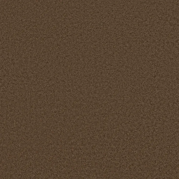Shaw Floors Loyal Beauty III — Apple Butter · EA164-00728 — flooring selection with LeviArs Design & Remodeling