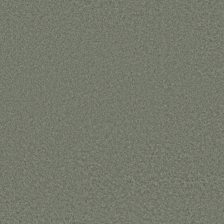 Shaw Floors Loyal Beauty III — Blue Chateau · EA164-00400 — flooring selection with LeviArs Design & Remodeling