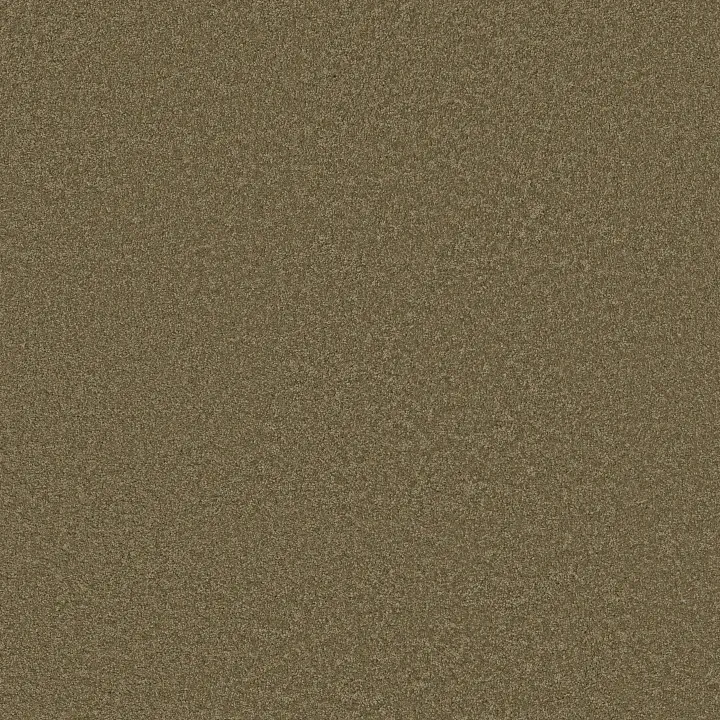 Shaw Floors Loyal Beauty III — Bonsai · EA164-00324 — flooring selection with LeviArs Design & Remodeling