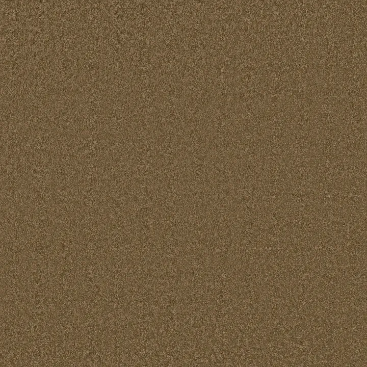Shaw Floors Loyal Beauty III — Cabin · EA164-00726 — flooring selection with LeviArs Design & Remodeling
