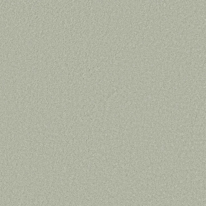Shaw Floors Loyal Beauty III — Crystal Blue · EA164-00402 — flooring selection with LeviArs Design & Remodeling