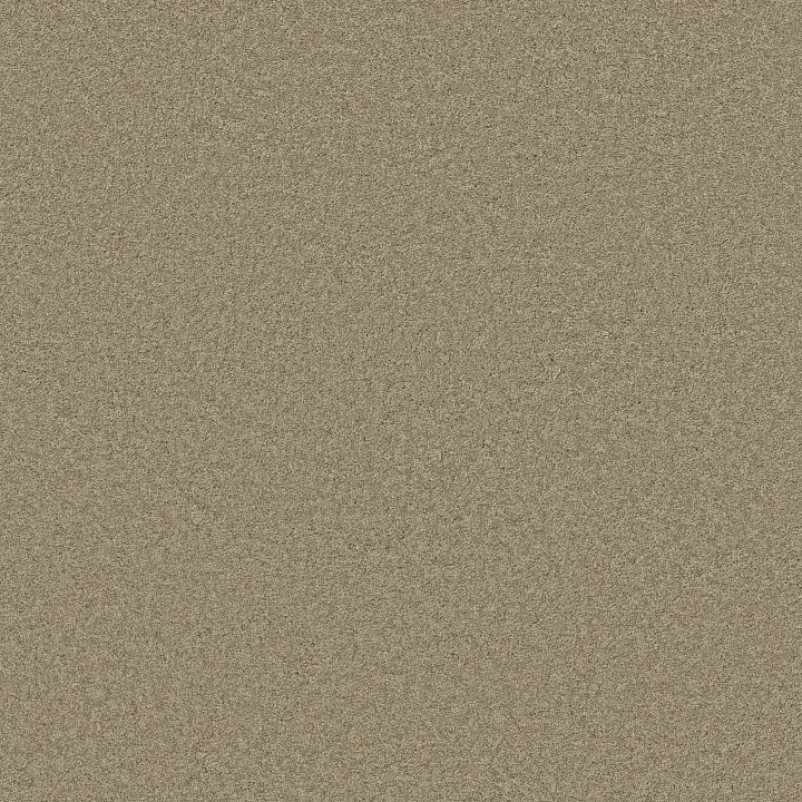 Shaw Floors Loyal Beauty III — Driftwood · EA164-00700 — flooring selection with LeviArs Design & Remodeling