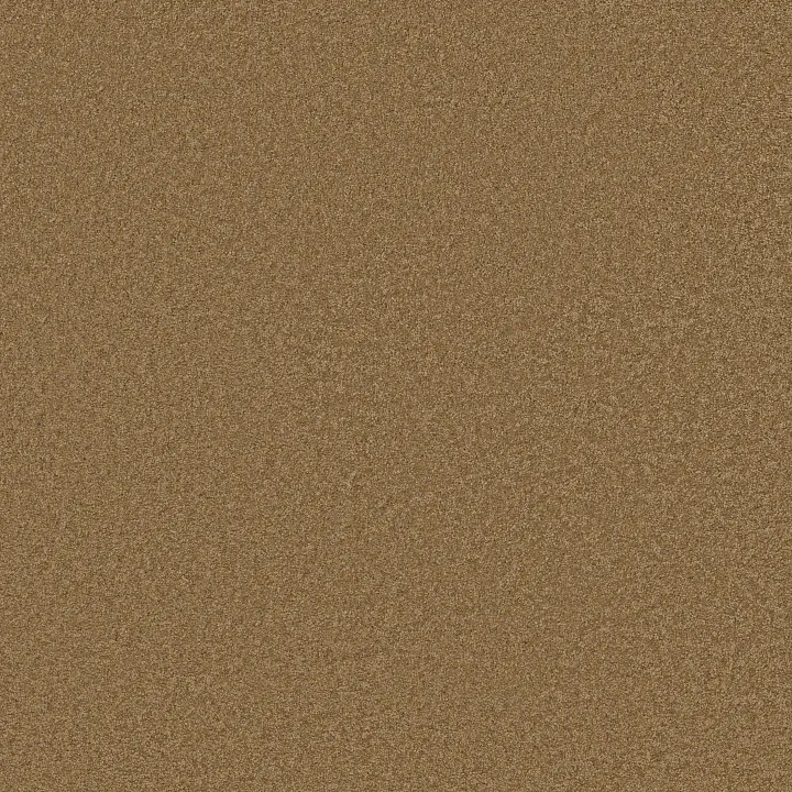 Shaw Floors Loyal Beauty III — English Toffee · EA164-00703 — flooring selection with LeviArs Design & Remodeling