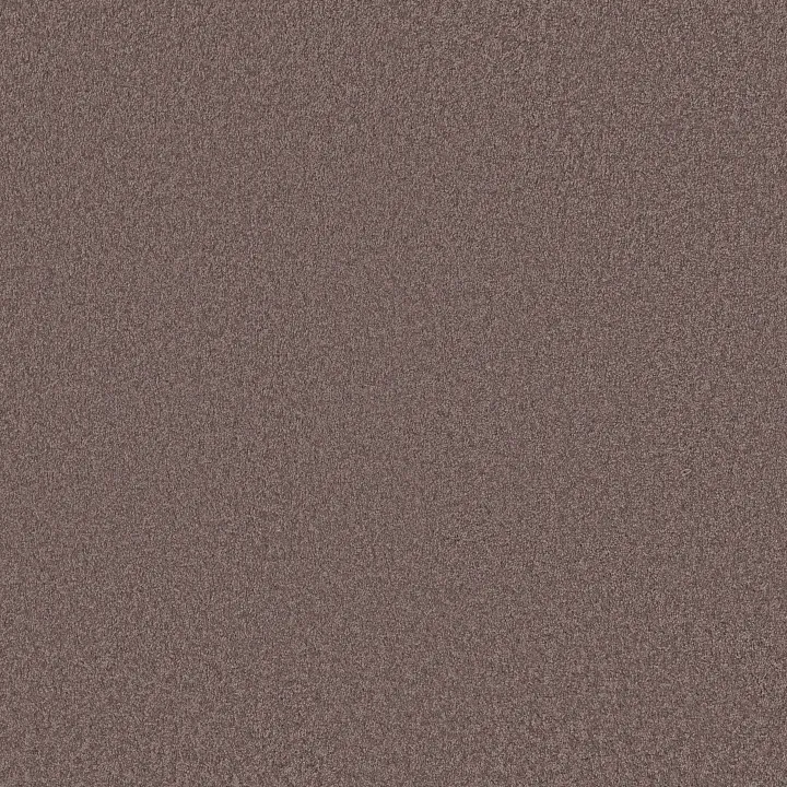 Shaw Floors Loyal Beauty III — Grape Fizz · EA164-00900 — flooring selection with LeviArs Design & Remodeling