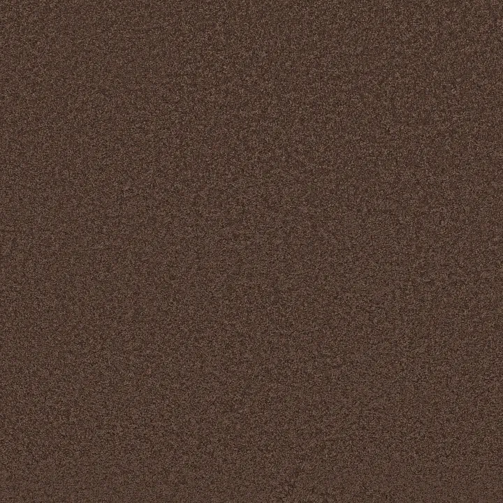 Shaw Floors Loyal Beauty III — Plum Delight · EA164-00902 — flooring selection with LeviArs Design & Remodeling