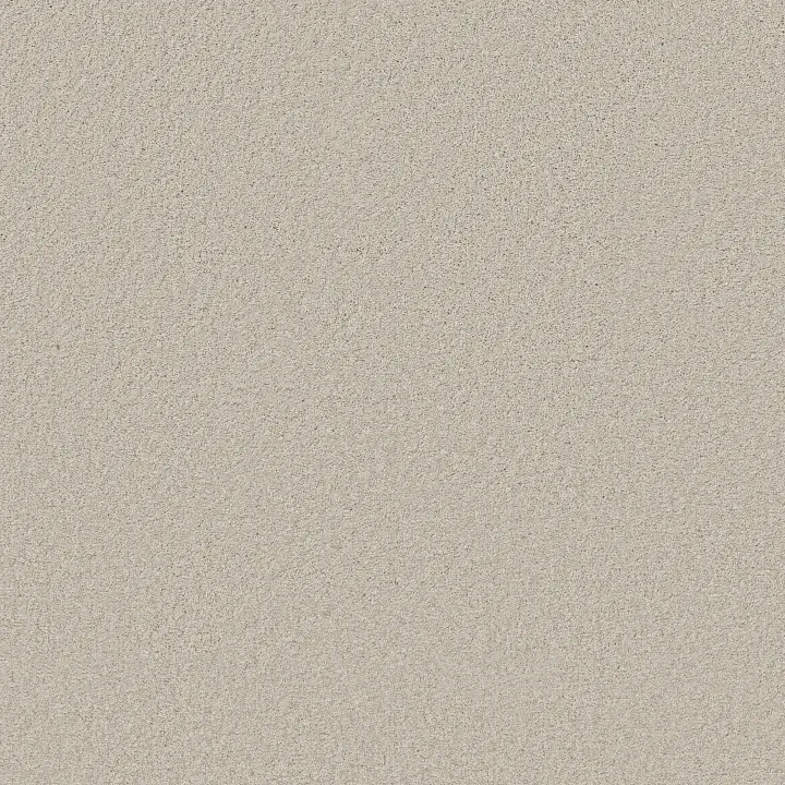 Shaw Floors Loyal Beauty III — Polar · EA164-00104 — flooring selection with LeviArs Design & Remodeling