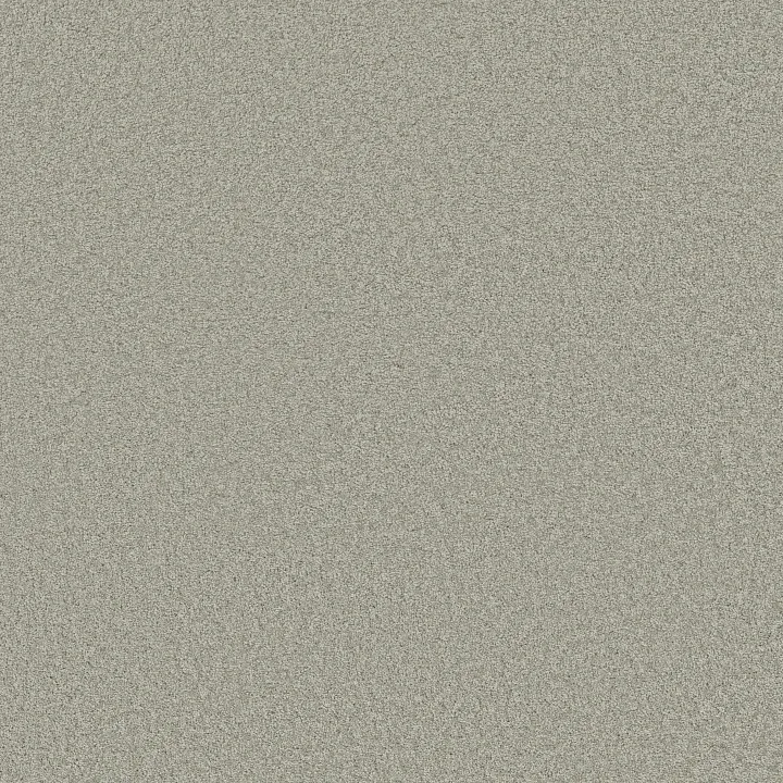 Shaw Floors Loyal Beauty III — Sheer Silver · EA164-00500 — flooring selection with LeviArs Design & Remodeling