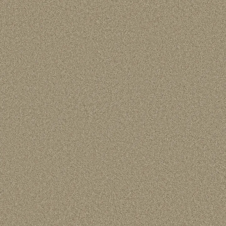 Shaw Floors Loyal Beauty III — Stucco · EA164-00129 — flooring selection with LeviArs Design & Remodeling