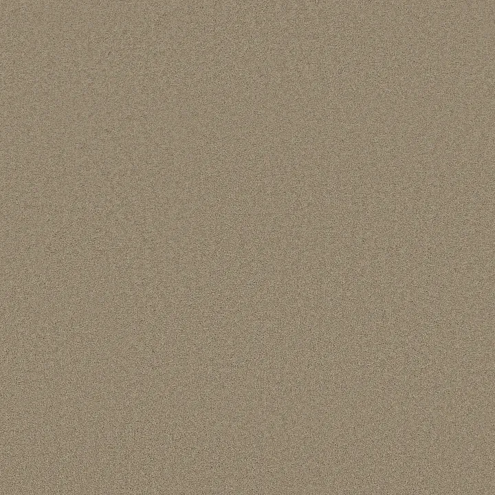 Shaw Floors Magic At Last I 12' — Alabaster · E0200-00149 — flooring selection with LeviArs Design & Remodeling