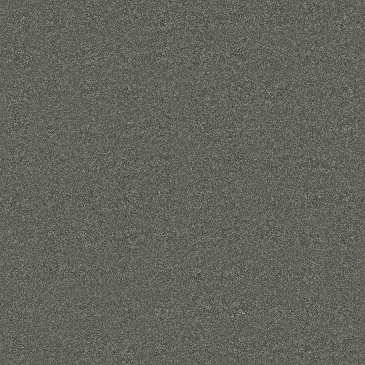 Shaw Floors Magic At Last I 12' — Aluminum · E0200-00502 — flooring selection with LeviArs Design & Remodeling