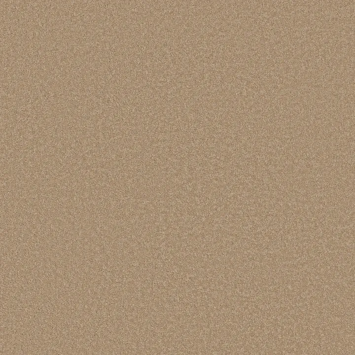 Shaw Floors Magic At Last I 12' — Antique White · E0200-00150 — flooring selection with LeviArs Design & Remodeling