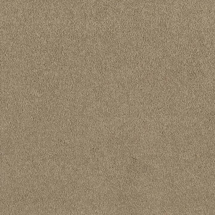 Shaw Floors Magic At Last I 12' — Balanced Beige · E0200-00145 — flooring selection with LeviArs Design & Remodeling