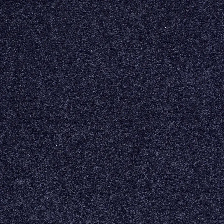 Shaw Floors Magic At Last I 12' — Blue Ink · E0200-00444 — flooring selection with LeviArs Design & Remodeling