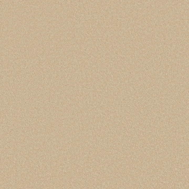 Shaw Floors Magic At Last I 12' — Butternut · E0200-00240 — flooring selection with LeviArs Design & Remodeling