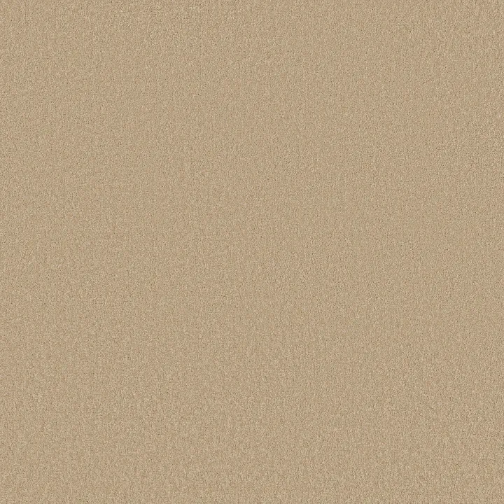 Shaw Floors Magic At Last I 12' — Cameo · E0200-00146 — flooring selection with LeviArs Design & Remodeling