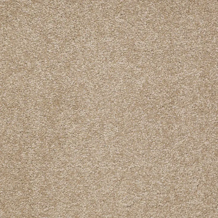 Shaw Floors Magic At Last I 12' — Cardboard · E0200-00245 — flooring selection with LeviArs Design & Remodeling