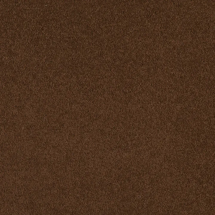 Shaw Floors Magic At Last I 12' — Cocoa · E0200-00707 — flooring selection with LeviArs Design & Remodeling