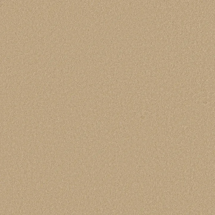 Shaw Floors Magic At Last I 12' — Custard · E0200-00241 — flooring selection with LeviArs Design & Remodeling