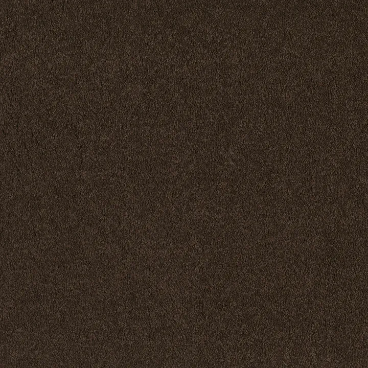 Shaw Floors Magic At Last I 12' — Dark Chocolate · E0200-00708 — flooring selection with LeviArs Design & Remodeling