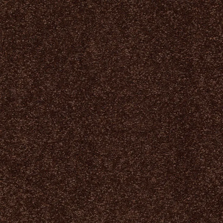 Shaw Floors Magic At Last I 12' — Fudge Brownie · E0200-00711 — flooring selection with LeviArs Design & Remodeling