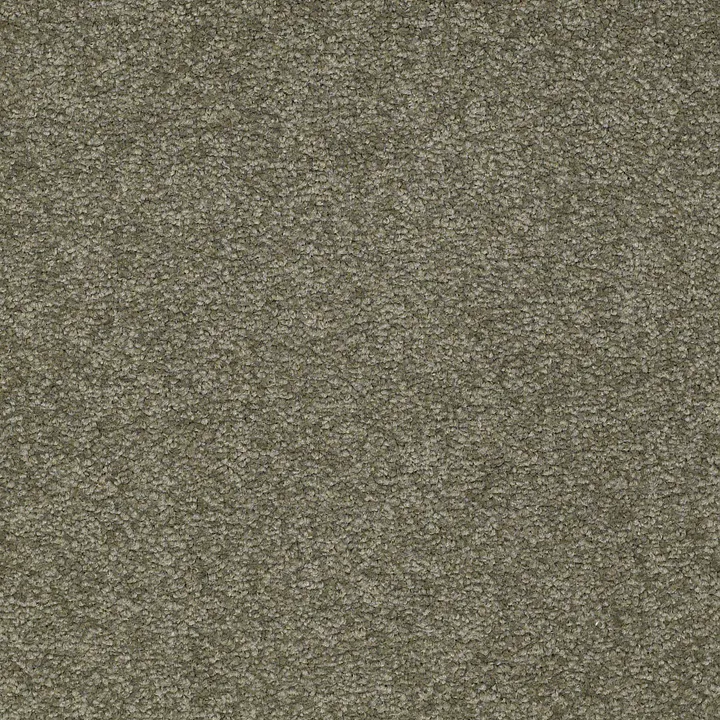 Shaw Floors Magic At Last I 12' — Garden Spot · E0200-00345 — flooring selection with LeviArs Design & Remodeling