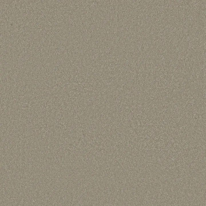 Shaw Floors Magic At Last I 12' — Gunmetal · E0200-00501 — flooring selection with LeviArs Design & Remodeling