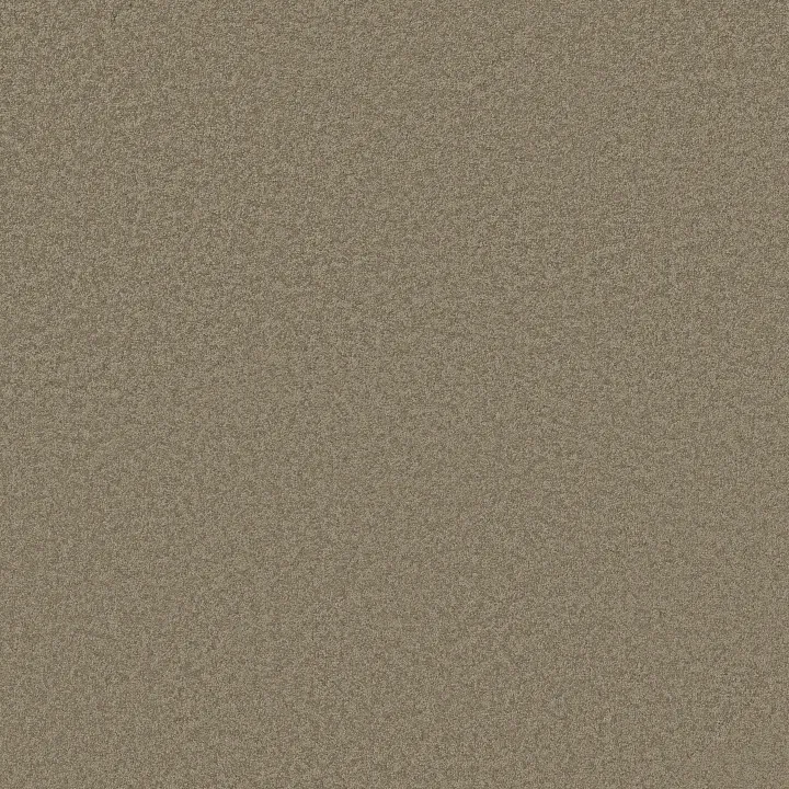 Shaw Floors Magic At Last I 12' — Leapfrog · E0200-00346 — flooring selection with LeviArs Design & Remodeling
