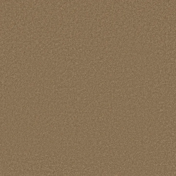 Shaw Floors Magic At Last I 12' — Malted Milk · E0200-00700 — flooring selection with LeviArs Design & Remodeling