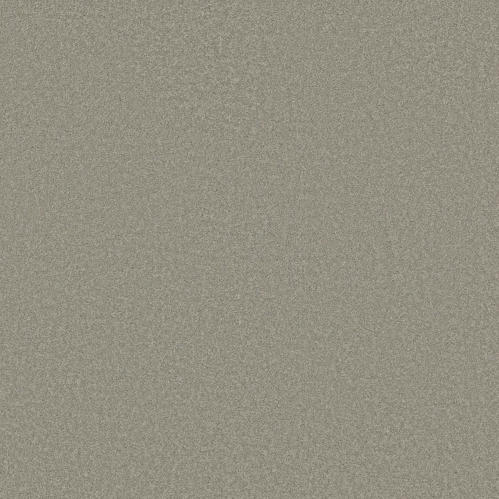 Shaw Floors Magic At Last I 12' — Nickel · E0200-00500 — flooring selection with LeviArs Design & Remodeling