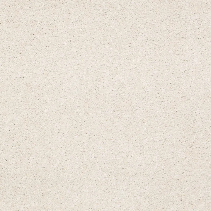 Shaw Floors Magic At Last III 12' — Parmesan · E0204-00141 — flooring selection with LeviArs Design & Remodeling