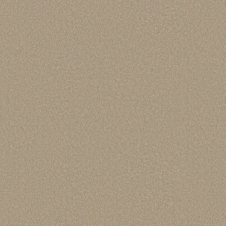 Shaw Floors Magic At Last I 12' — Quartz · E0200-00144 — flooring selection with LeviArs Design & Remodeling