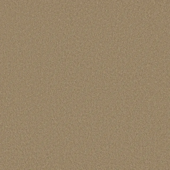 Shaw Floors Magic At Last I 12' — Shell · E0200-00148 — flooring selection with LeviArs Design & Remodeling