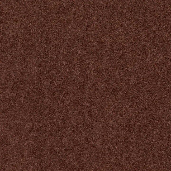 Shaw Floors Magic At Last I 12' — Spice · E0200-00641 — flooring selection with LeviArs Design & Remodeling