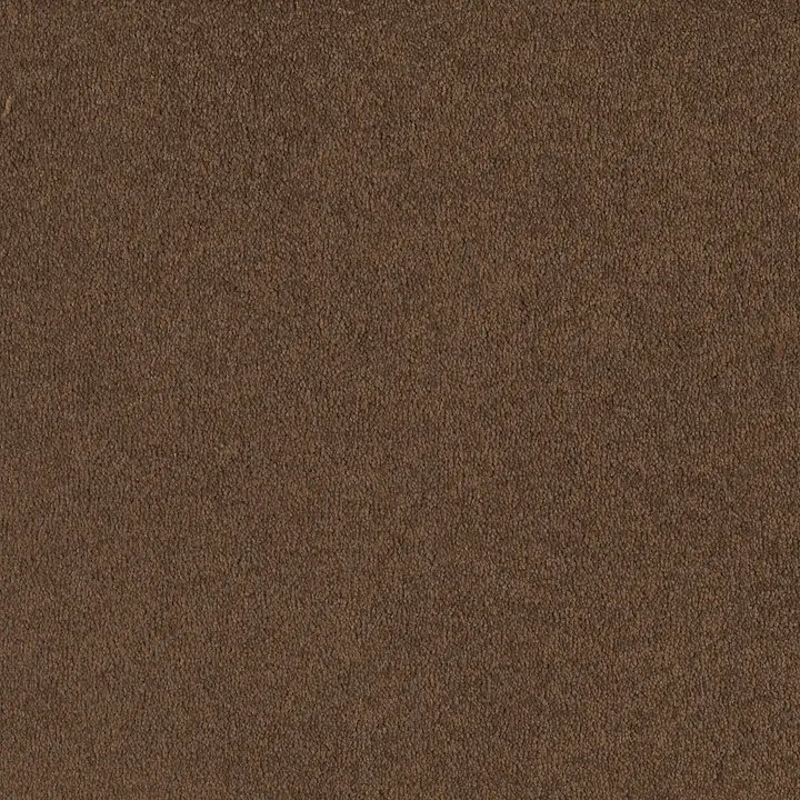 Shaw Floors Magic At Last I 12' — Tree Moss · E0200-00703 — flooring selection with LeviArs Design & Remodeling