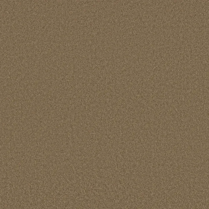 Shaw Floors Magic At Last I 12' — Wheat Grass · E0200-00341 — flooring selection with LeviArs Design & Remodeling