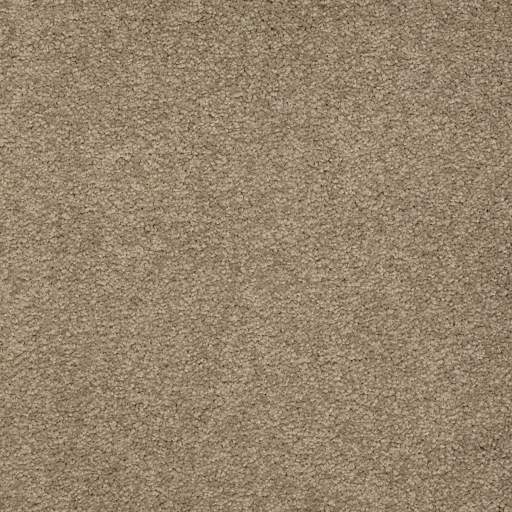 Shaw Floors Magic At Last II 12 — Balanced Beige · E0201-00145 — flooring selection with LeviArs Design & Remodeling