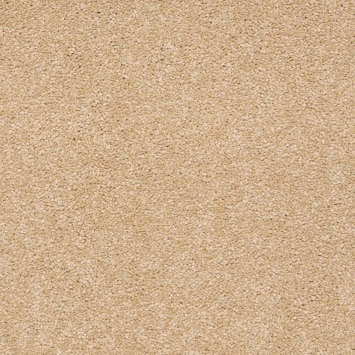 Shaw Floors Magic At Last II 12 — Blonde · E0201-00242 — flooring selection with LeviArs Design & Remodeling