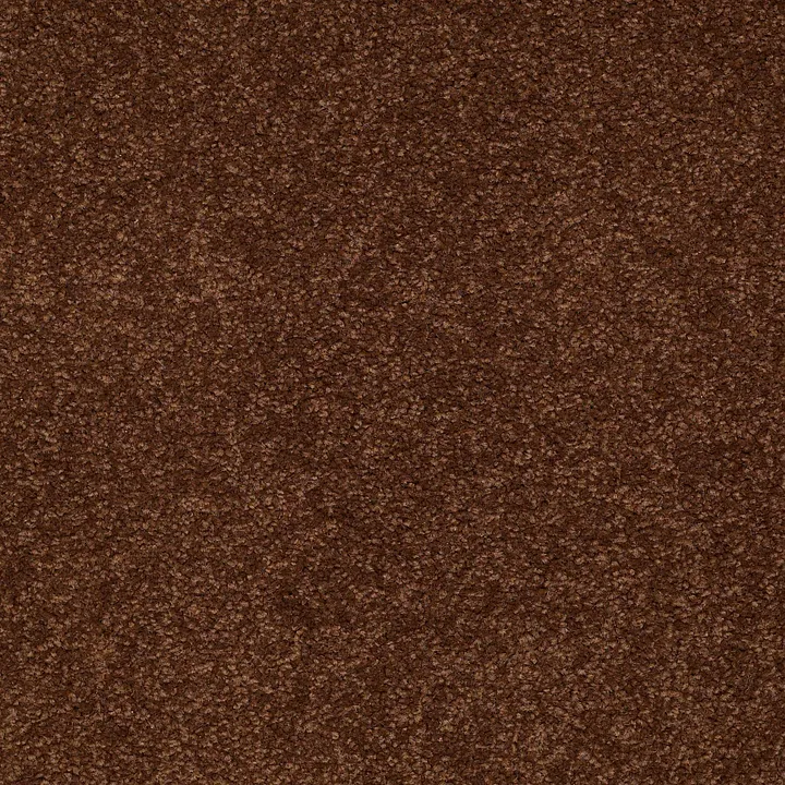 Shaw Floors Magic At Last II 12 — Cocoa · E0201-00707 — flooring selection with LeviArs Design & Remodeling